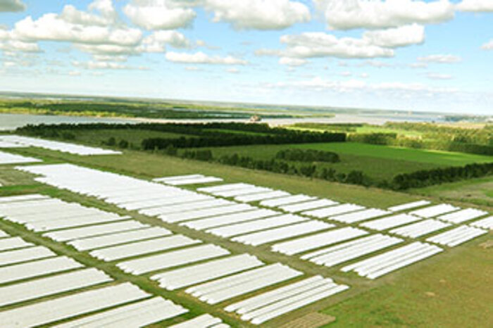 Un sistema innovador que transforma toda la logística agroindustrial
